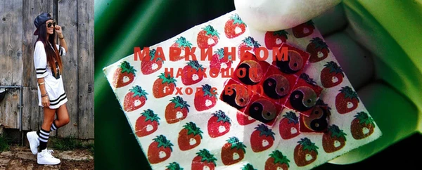 дмт Аркадак