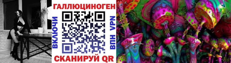 наркота  Приозерск  ссылка на мегу сайт  Галлюциногенные грибы Psilocybe 